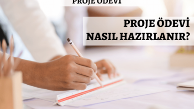 Sosyal proje ödevi nasıl yapılır