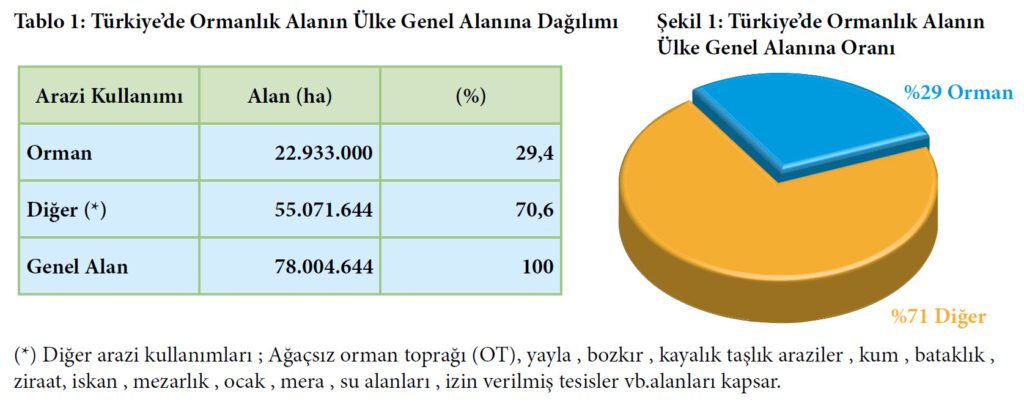 turkiye ormanlık alanlar dağılımı