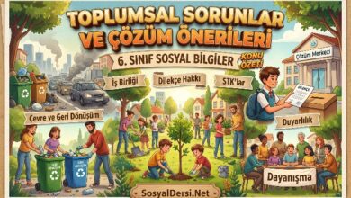 toplumsal sorunlar ve çözüm önerileri özet pdf