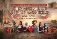 milli meseleler karşısında türk toplumunun tutum ve davranışları
