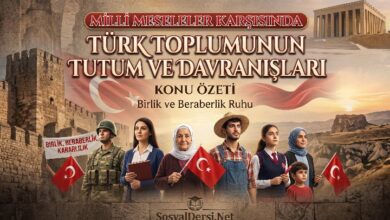 milli meseleler karşısında türk toplumunun tutum ve davranışları